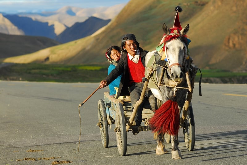 Horse-Drawn Carriages