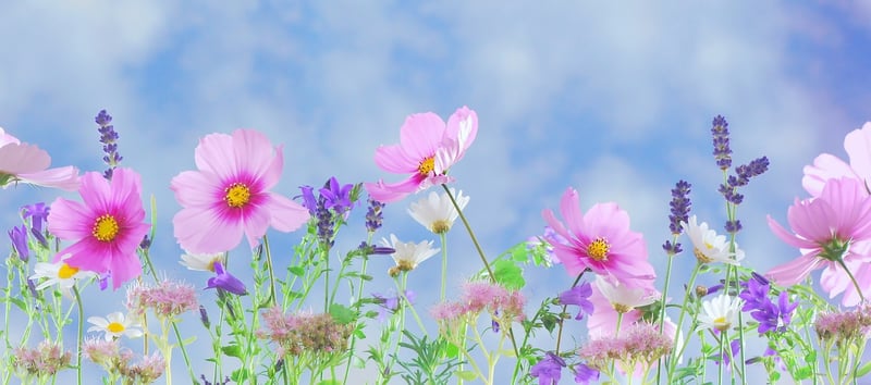 Whimsical Decor Image